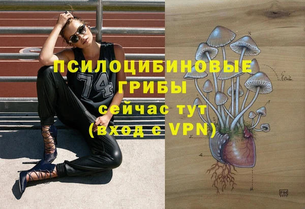 кокс Абаза