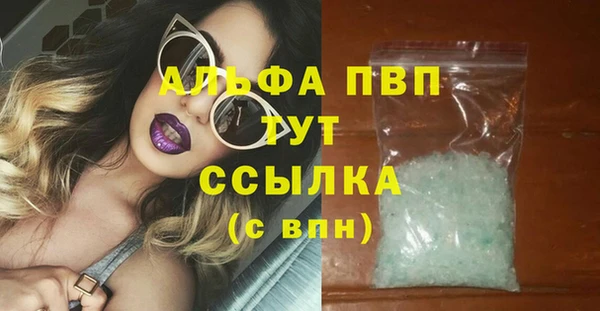 гашик Магас