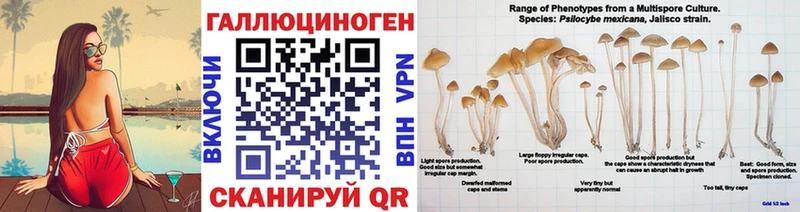 цены   Ленинградская  Галлюциногенные грибы MAGIC MUSHROOMS 